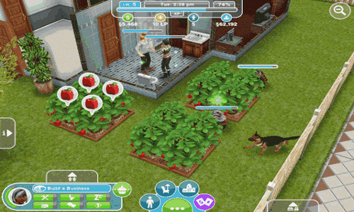 The Sims FreePlay Android сад