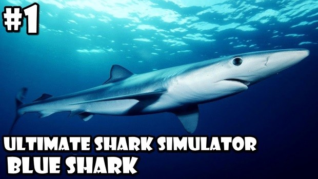 Ultimate Shark Simulator