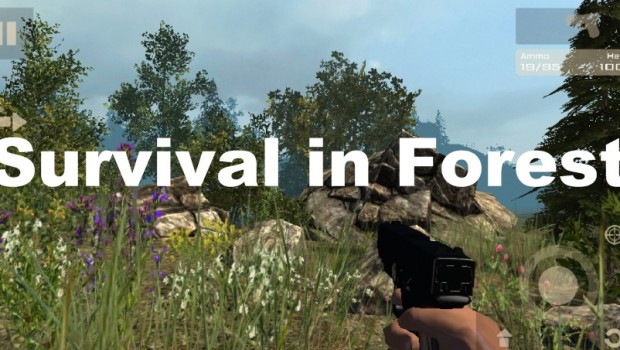 Survival in Forest