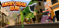 Angry Gran Run