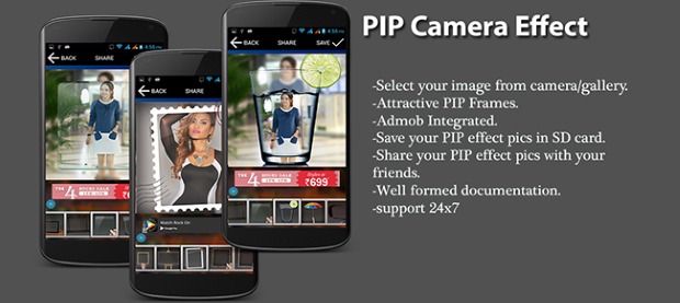 PIP Camera