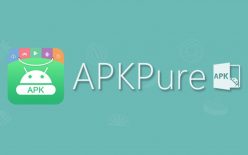 APKPure APKPure