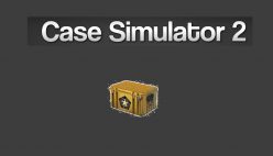 Case Simulator 2