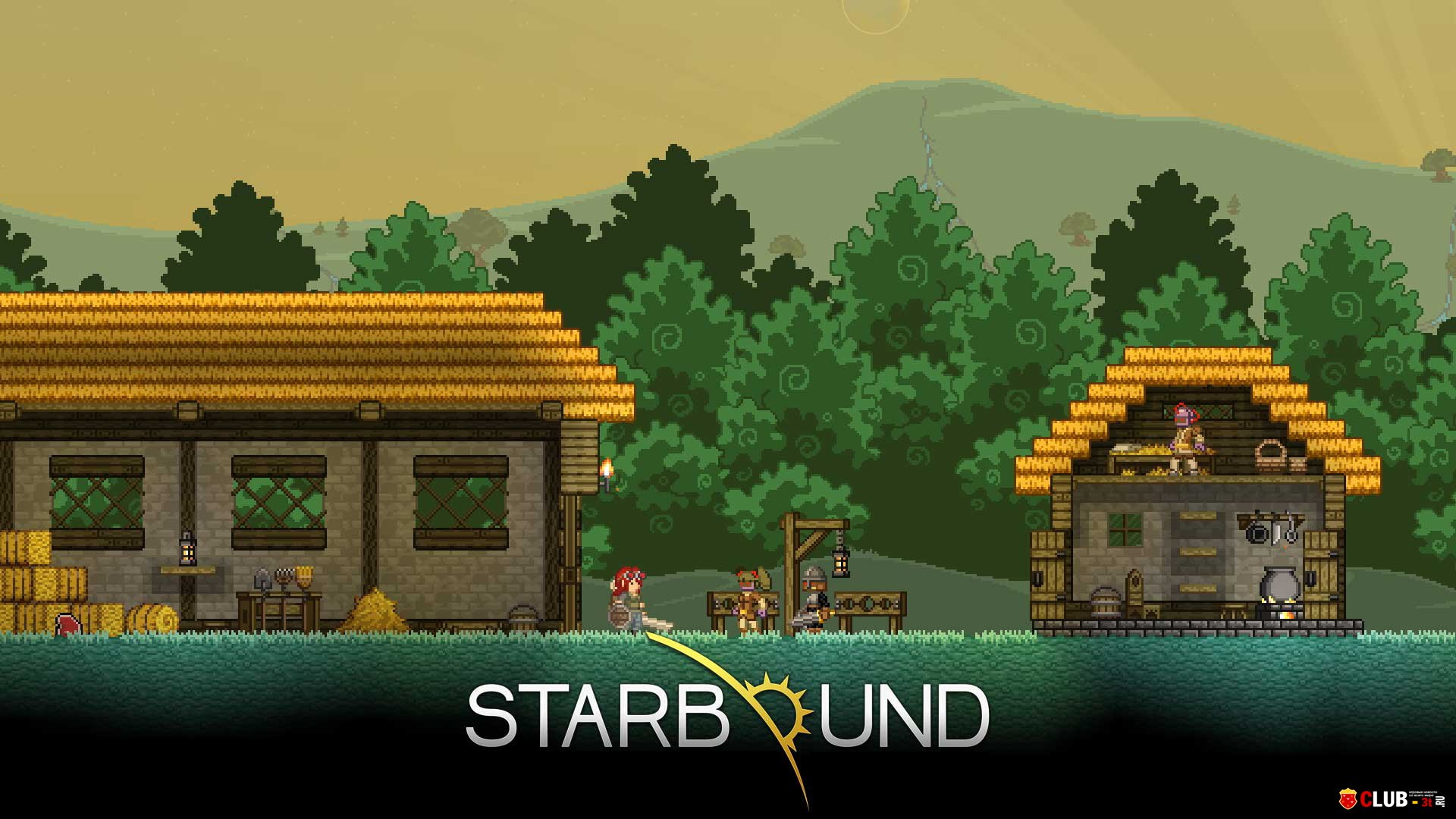 Starbound на чем написан