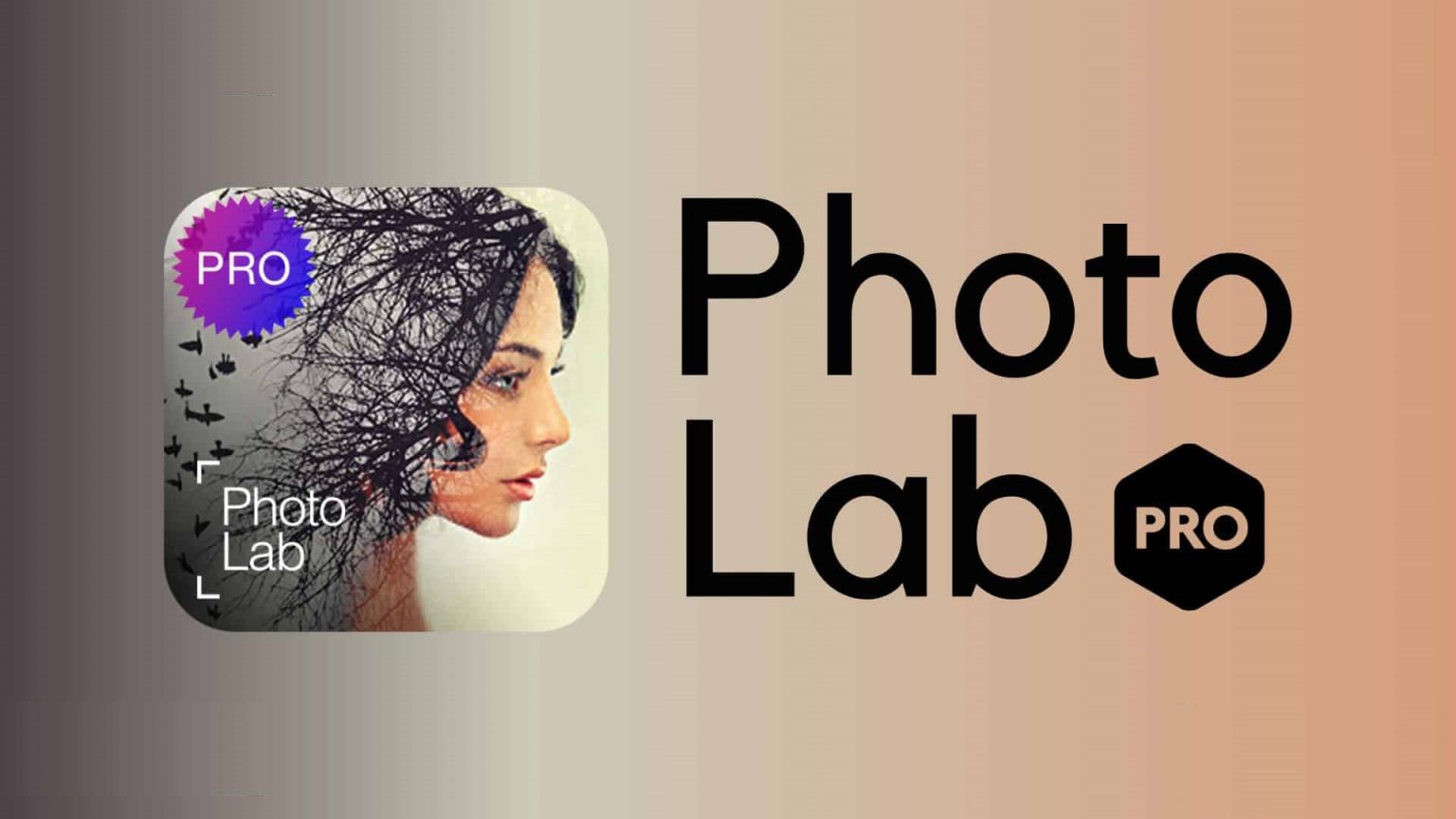 Скачать приложения Photo Lab Pro на Андроид бесплатно