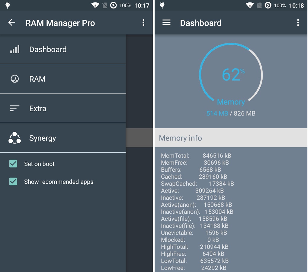 ram manager pro