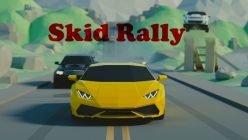 Skid Rally