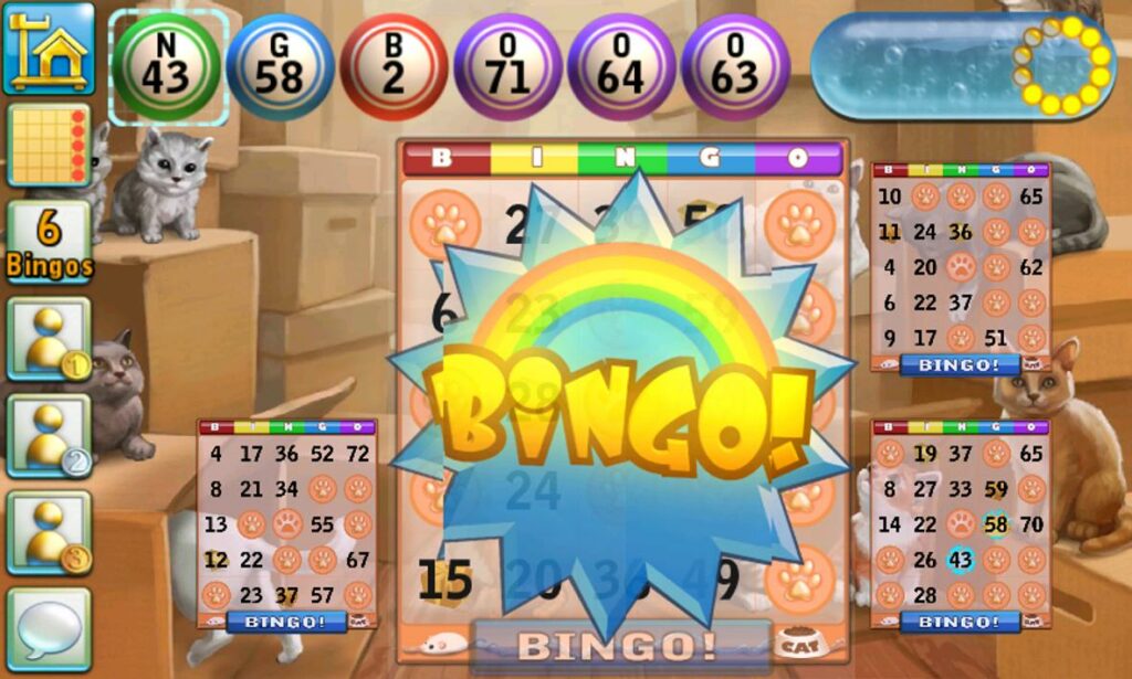 bingo cat