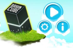Brain Cube